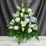 toma la imagen adjunta como base y genera k6is0kg3