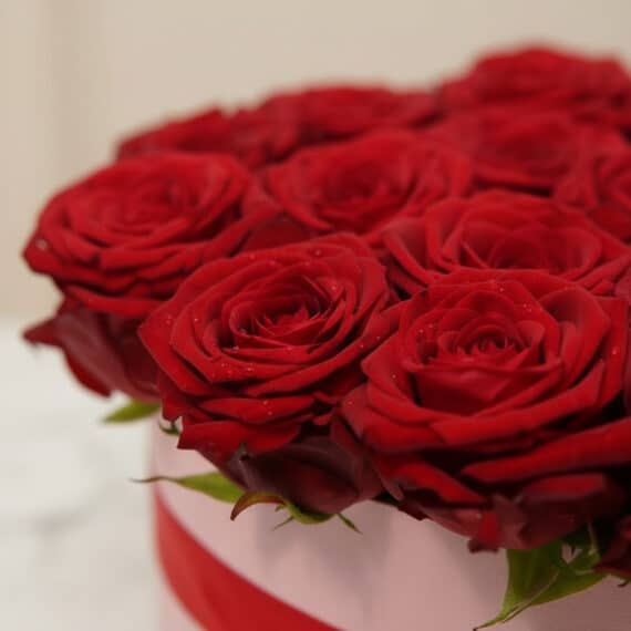 Primer plano extremo de 24 rosas rojas premium con gotas de rocío en una caja corazón, destacando su textura y frescura.