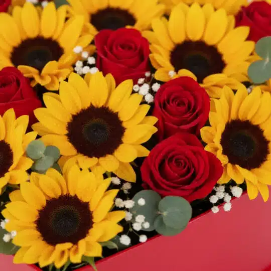 Primer plano extremo del Arreglo Floral RINA, mostrando girasoles amarillos y rosas rojas con gotas de rocío, sobre una base
