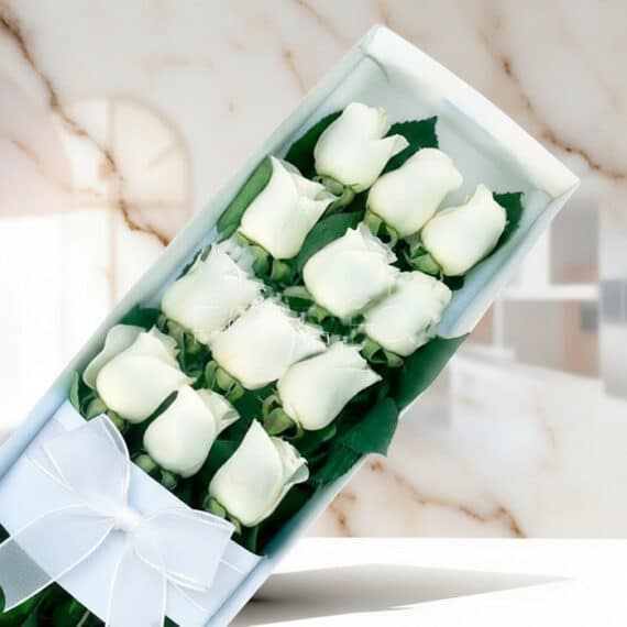 Caja de 12 Rosas Blancas: Elegancia y Frescura para Regalar Caja de 12 rosas blancas frescas con moño blanco, presentadas elegantemente sobre un fondo de mármol claro, ideal para ecomme