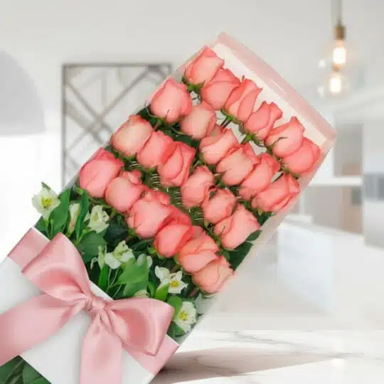 Caja de 24 rosas rosadas frescas con moño de seda rosa, dispuestas elegantemente en un fondo luminoso y moderno, ideal para e