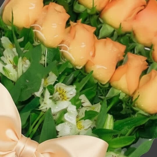 Primer plano extremo de 24 rosas salmón frescas con gotas de rocío, hojas verdes y alstroemerias blancas, atadas con un lazo