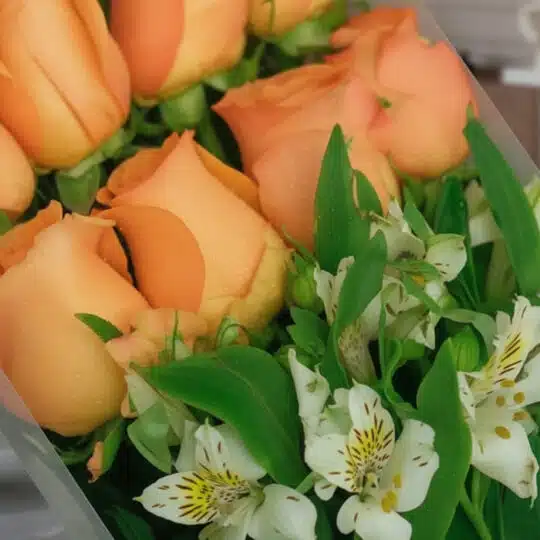 Primer plano extremo de un arreglo floral con rosas salmón y alstroemerias blancas, mostrando texturas hiperrealistas y gotas