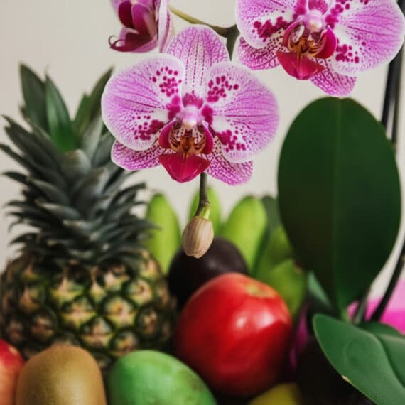 Primer plano extremo de orquídea Phalaenopsis rosa con puntos, piña, manzana roja, kiwi y otras frutas exóticas, con gotas de