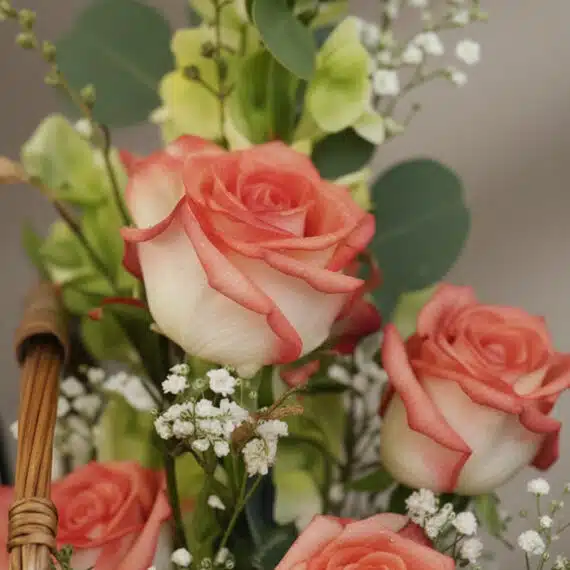 Primer plano extremo de rosas frescas con pétalos blanco-salmón y gotas de rocío, rodeadas de follaje verde y pequeñas flores